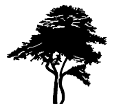 Landhaus Bockelmann Baum