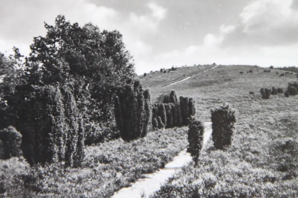 Turmberg Lüneburger Heide