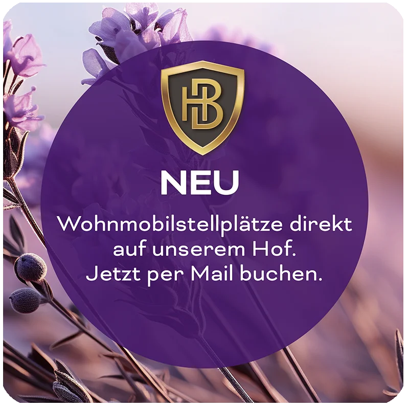 Jetzt Wohnmobilstellplatz anfragen